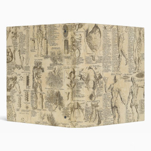 Anatomical Chart from Cyclopaedia 1728 3 Ring Binder