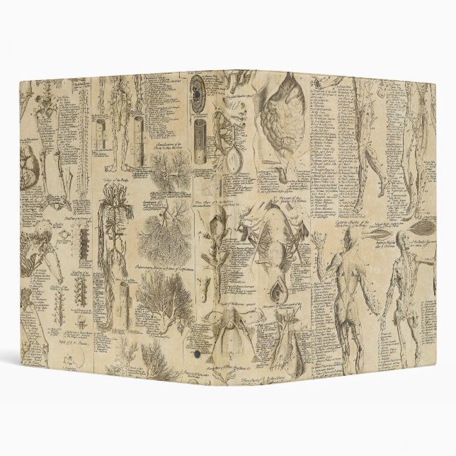 Anatomical Chart from Cyclopaedia 1728 3 Ring Binder (Background)