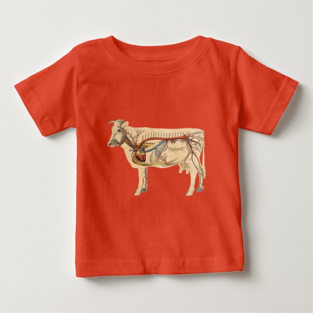 Anatomical Cute Cow Baby T-Shirt (Front)