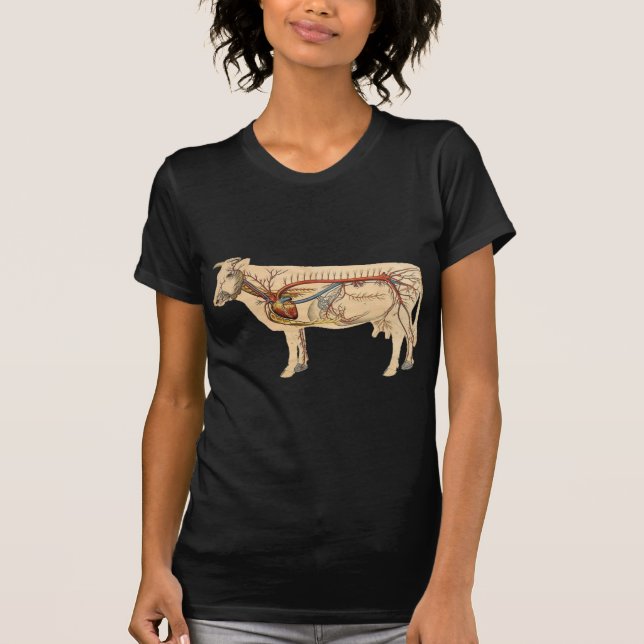 Anatomical Cute Cow T-Shirt (Front)