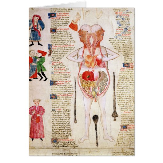 Anatomical diagram cards (Front)