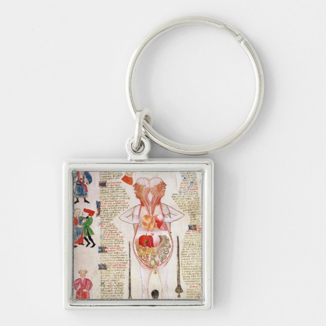 Anatomical diagram keychain (Front)