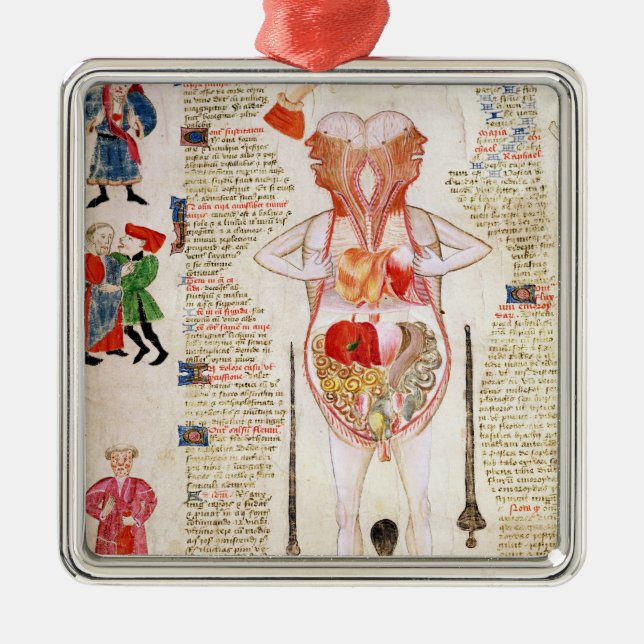 Anatomical diagram metal ornament (Front)