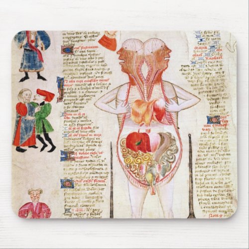 Anatomical diagram mouse pad