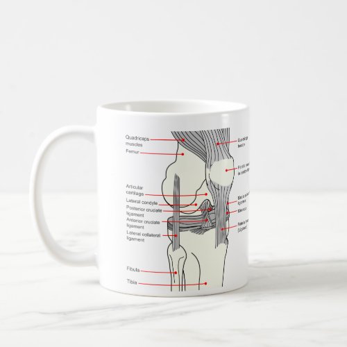 Anatomical Diagram of a Human Right Knee Joint Coffee Mug