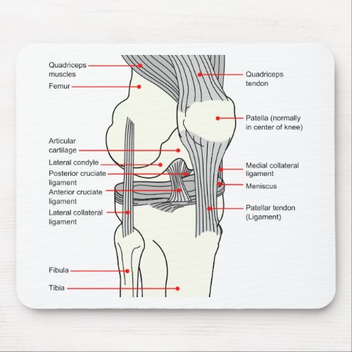 Anatomical Diagram of a Human Right Knee Joint Mouse Pad