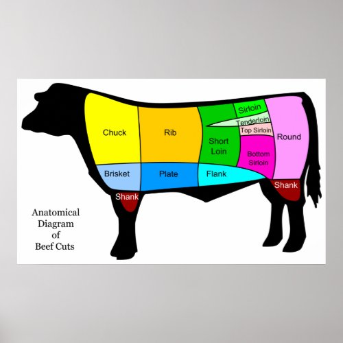 Anatomical Diagram of American Primal Beef Cuts Poster