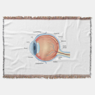 Anatomical diagram of eye throw blanket