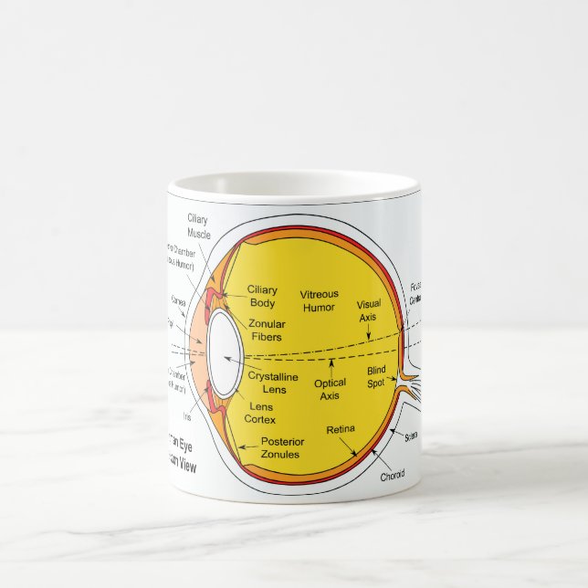 Anatomical Diagram of the Human Eye Ball Coffee Mug (Center)