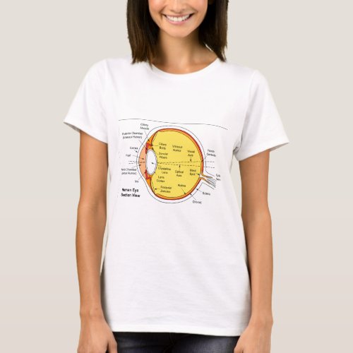 Anatomical Diagram of the Human Eye Ball T_Shirt