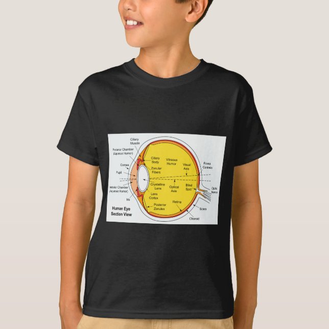 Anatomical Diagram of the Human Eye Ball T-Shirt (Front)