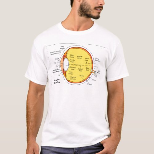 Anatomical Diagram of the Human Eye Ball T_Shirt