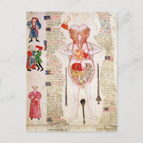 Anatomical diagram postcard