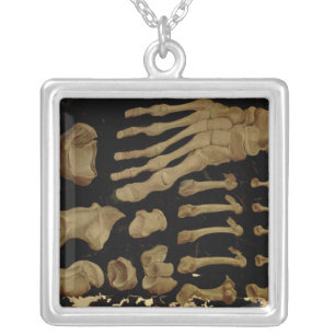 Anatomical drawing of the bones of the foot silver plated necklace