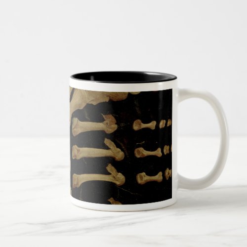 Anatomical drawing of the bones of the foot Two_Tone coffee mug