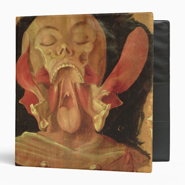 Anatomical drawing of the head 3 ring binder (Front/Inside)