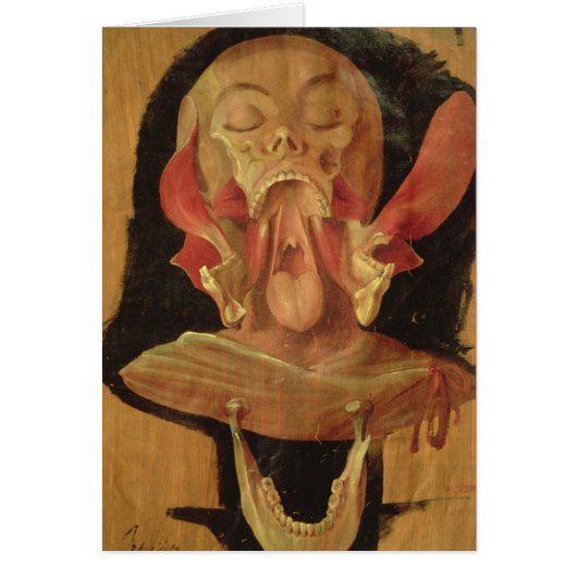 Anatomical drawing of the head cards (Front)