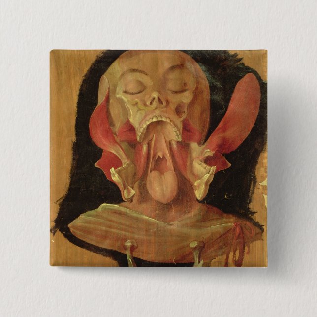 Anatomical drawing of the head pinback button (Front)