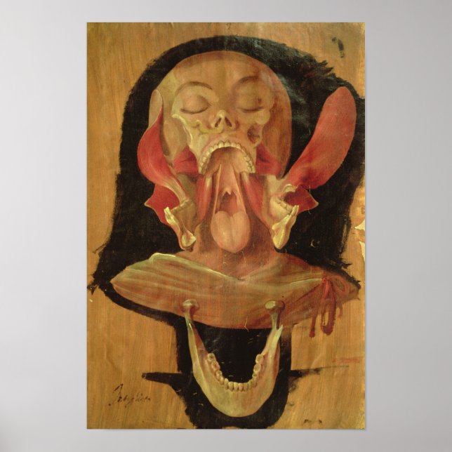 Anatomical drawing of the head poster (Front)