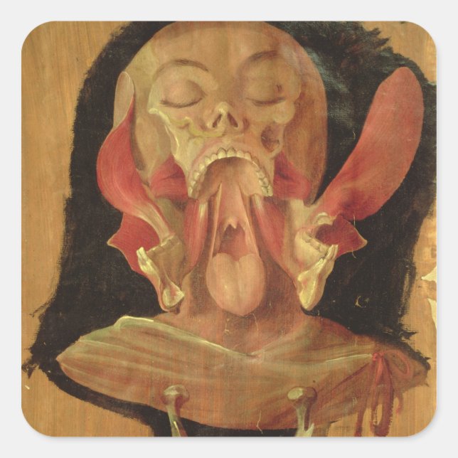 Anatomical drawing of the head square sticker (Front)