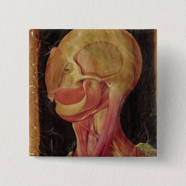 Anatomical drawing of the human head button (Front)