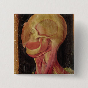 Anatomical drawing of the human head button