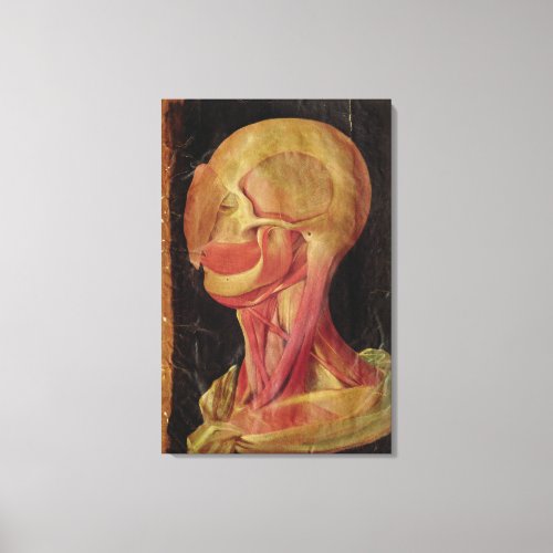 Anatomical drawing of the human head canvas print