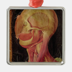 Anatomical drawing of the human head metal ornament