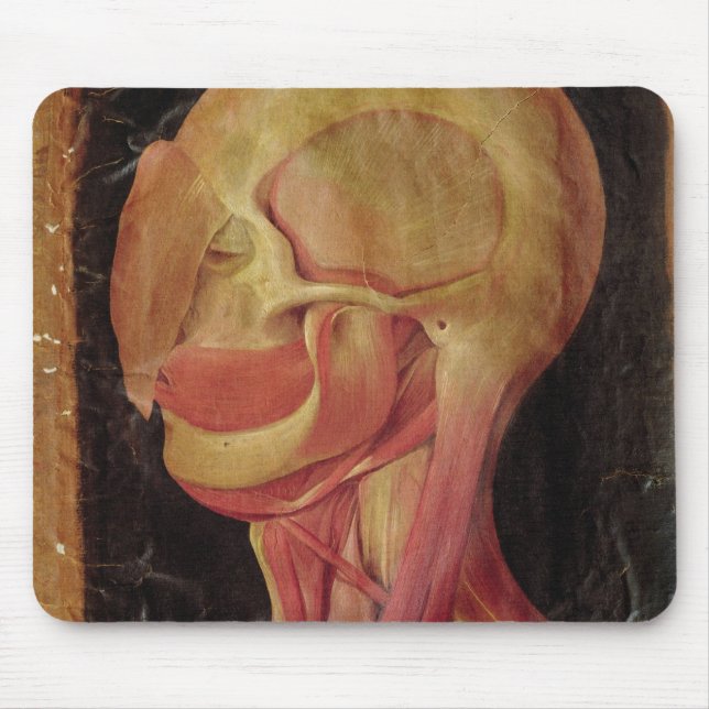 Anatomical drawing of the human head mouse pad (Front)