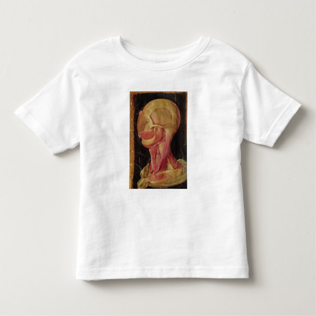 Anatomical drawing of the human head toddler t-shirt (Front)