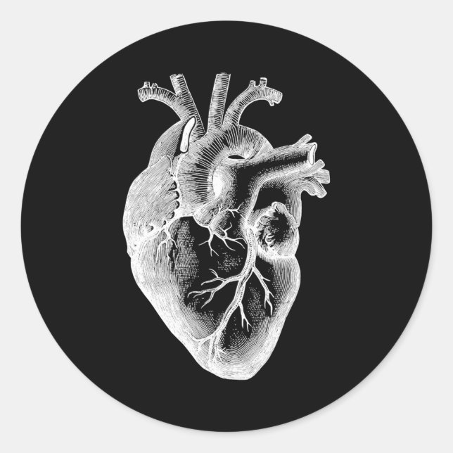 Anatomical Heart Amazing Detail Classic Round Sticker (Front)