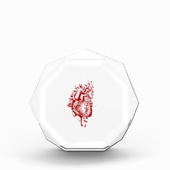 Anatomical Heart Award by lildaveycross at Zazzle