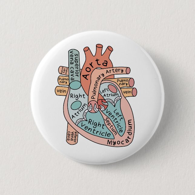 Anatomical Heart, Cardiac ICU Nurse Gift Button (Front)
