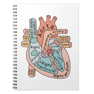 Anatomical Heart Cardiac Nurse Practioner Coffee Notebook