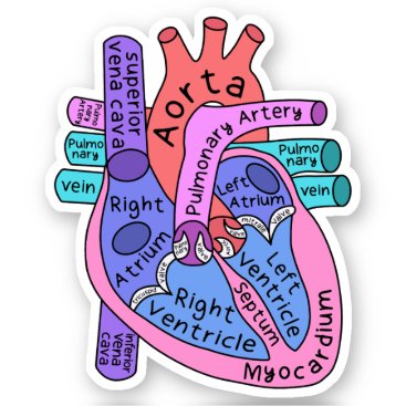Anatomical Heart Cardiac Nurse Practioner Sticker