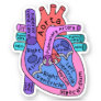 Anatomical Heart Cardiac Nurse Practioner Sticker