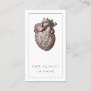 Anatomical Heart Cardiologist Business Card