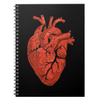 Anatomical Heart Cardiology Art