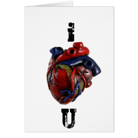 Anatomical Heart Cards (Front)