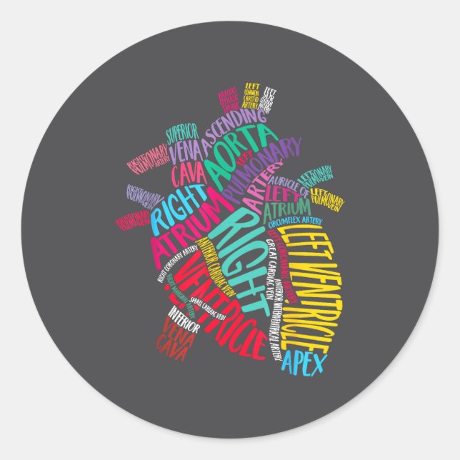 Anatomical Heart Design Cardiac Cardiovascular Icu Classic Round Sticker (Front)