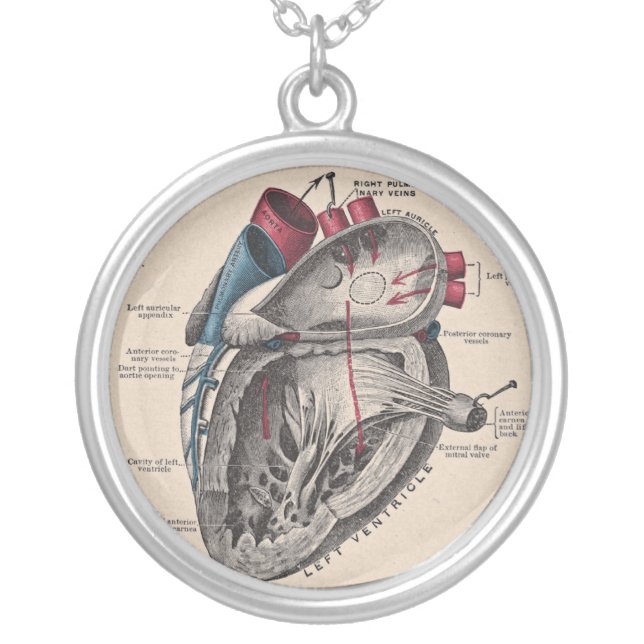 Anatomical Heart Diagram Vintage Silver Plated Necklace (Front)