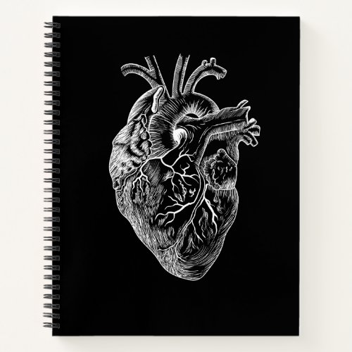Anatomical Heart Drawing Notebook