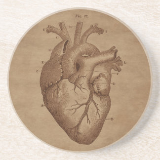 Anatomical Heart Engraving on Aged Paper Coaster