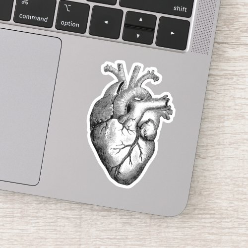 Anatomical Heart  Laptop  Sticker