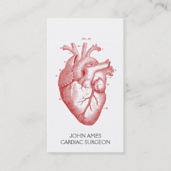 Anatomical Heart Medical Cardiac Surgeon Business Card by PersonOfInterest at Zazzle