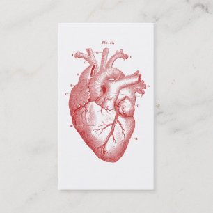 Anatomical Heart Medical Cardiology Cardiologist Business Card