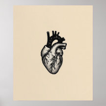 Anatomical Heart modern black minimalist line art