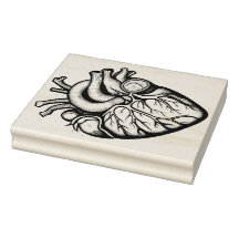 Anatomical Heart Rubber Stamp
