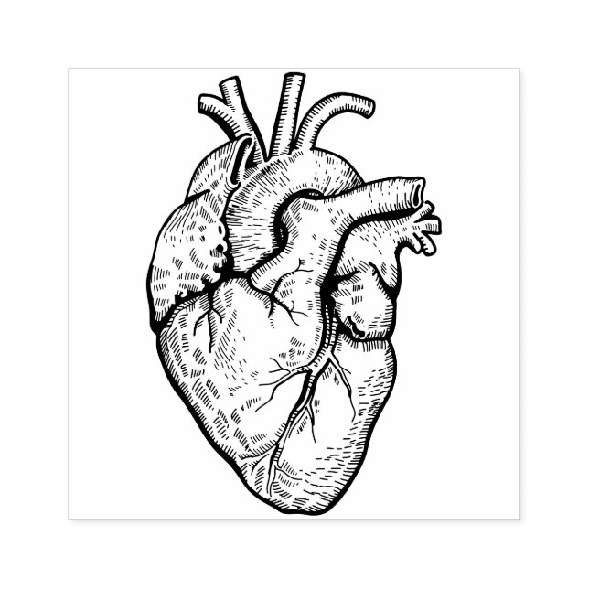 Anatomical Heart Rubber Stamp (Imprint)