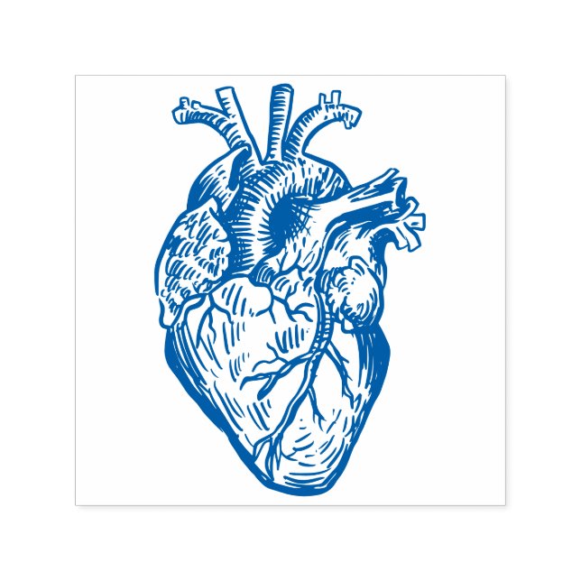 Anatomical Heart Self-inking Stamp (Design)